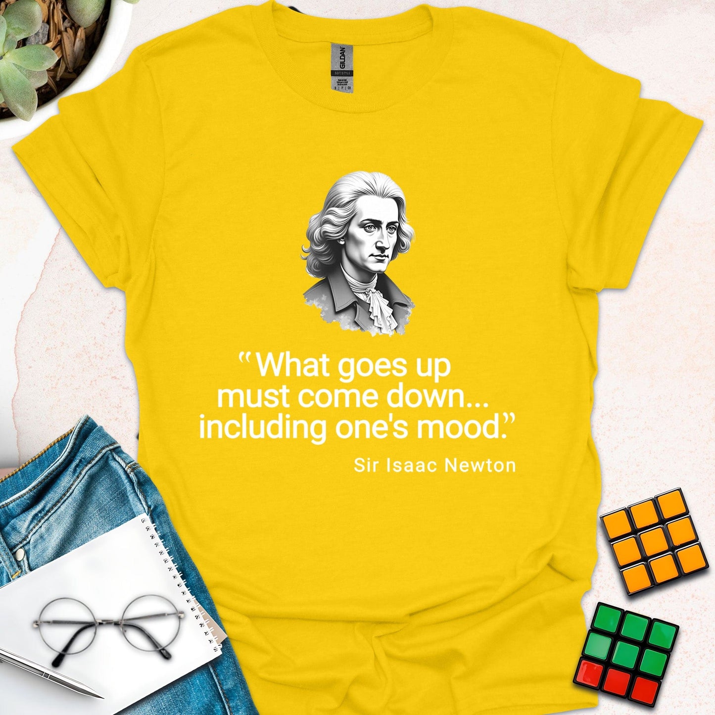 Newton's Law of Mood – Funny Physics T-Shirt