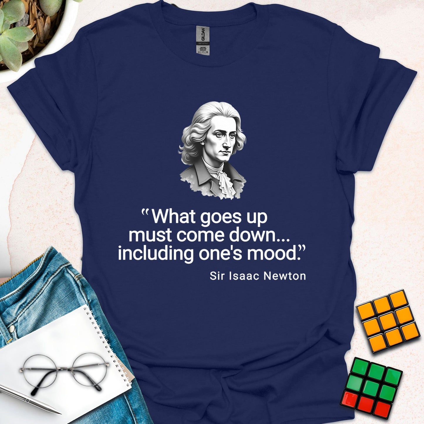 Newton's Law of Mood – Funny Physics T-Shirt